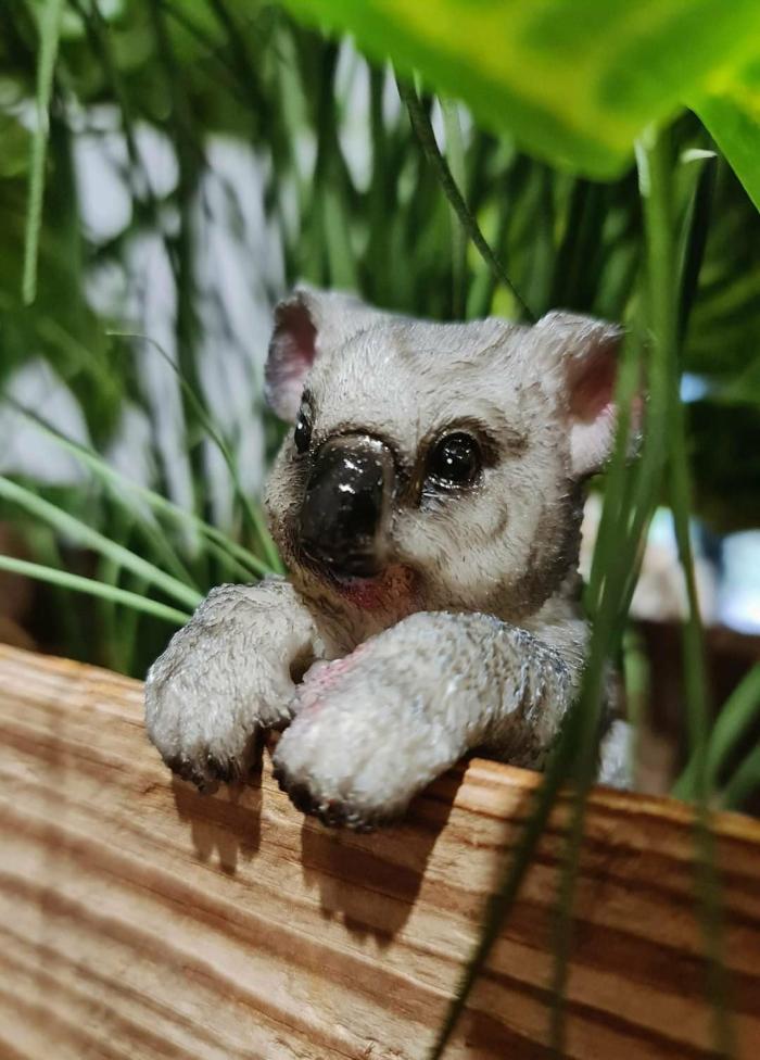 Animal Pot Sitter – Koala  |  Garden Accessories Garden Accessories Garden Accessories