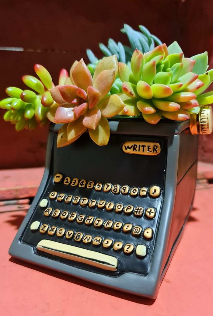 Black Type Writer Planter – Small  |  Planters & Vases Planters & Vases Planters & Vases