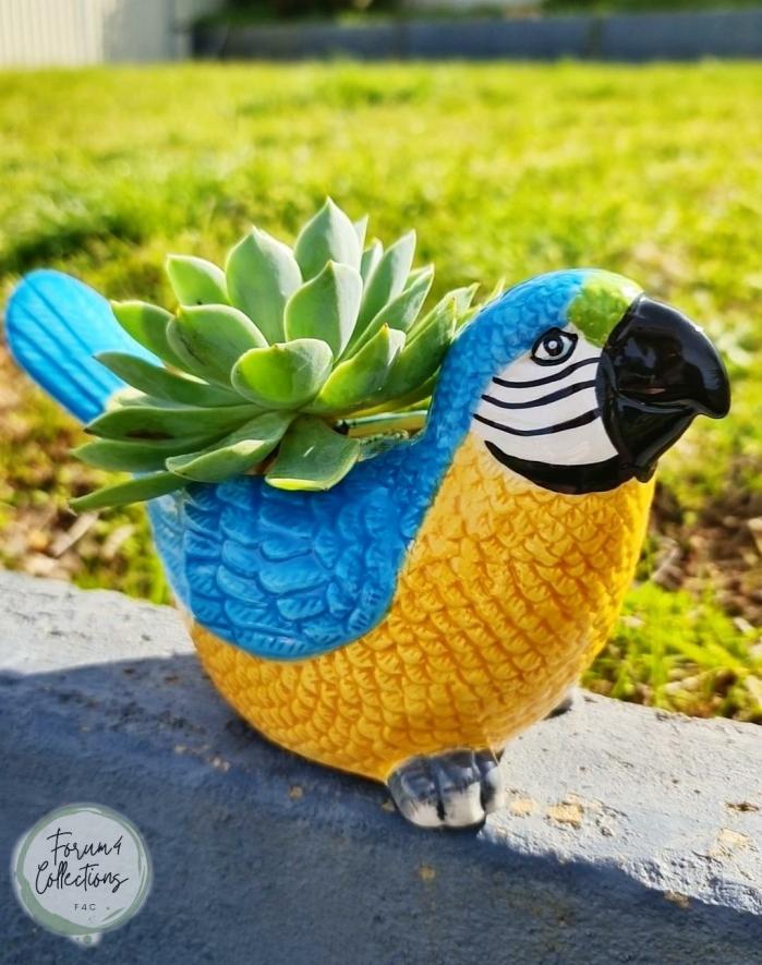 Blue & Yellow Macaw Bird Planter  |  Planters & Vases Planters & Vases Planters & Vases