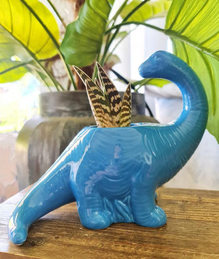 Brachiosaurus Dino Planter – Blue  |  Planters & Vases Planters & Vases Planters & Vases