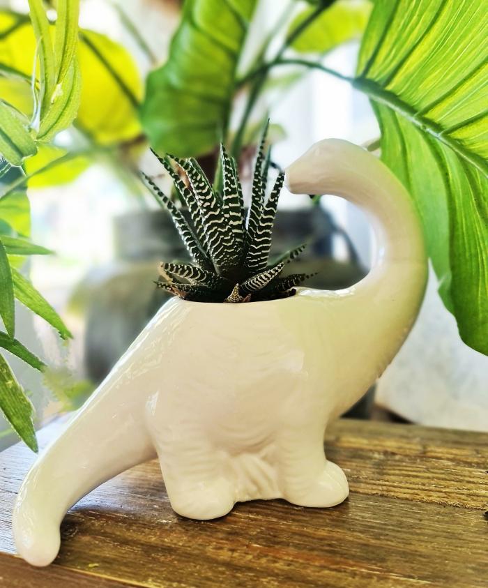 Brachiosaurus Dino Planter – White  |  Planters & Vases Planters & Vases Planters & Vases