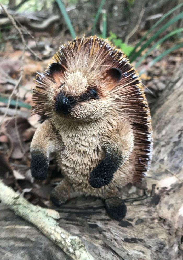 Bristle Standing Hedgehog  |  Garden Creatures Garden Creatures Garden Creatures