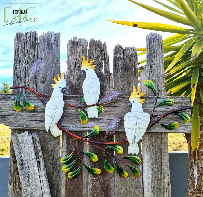 Cockatoo Trio On Banksia Tree  |  Garden Creatures Garden Creatures Garden Creatures