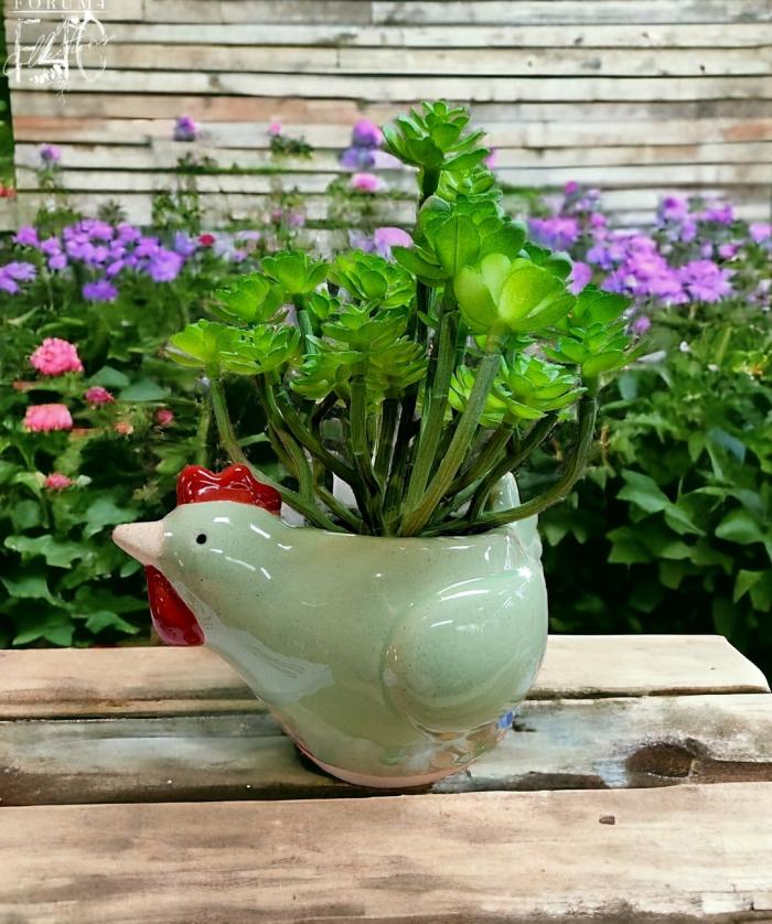 Cool Chicken Planter Green – Small  |  Chickens Chickens Chickens