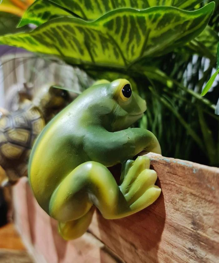 Cute Creatures Pot Sitter – Frog  |  Pot Accessories Garden Accessories Garden Accessories