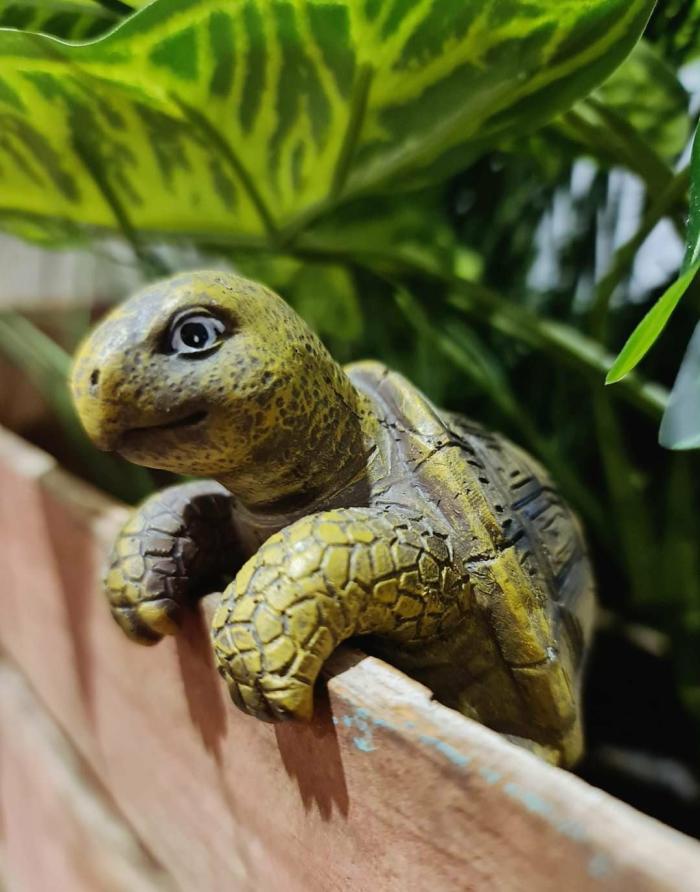 Cute Creatures Pot Sitter – Turtle  |  Garden Accessories Garden Accessories Garden Accessories