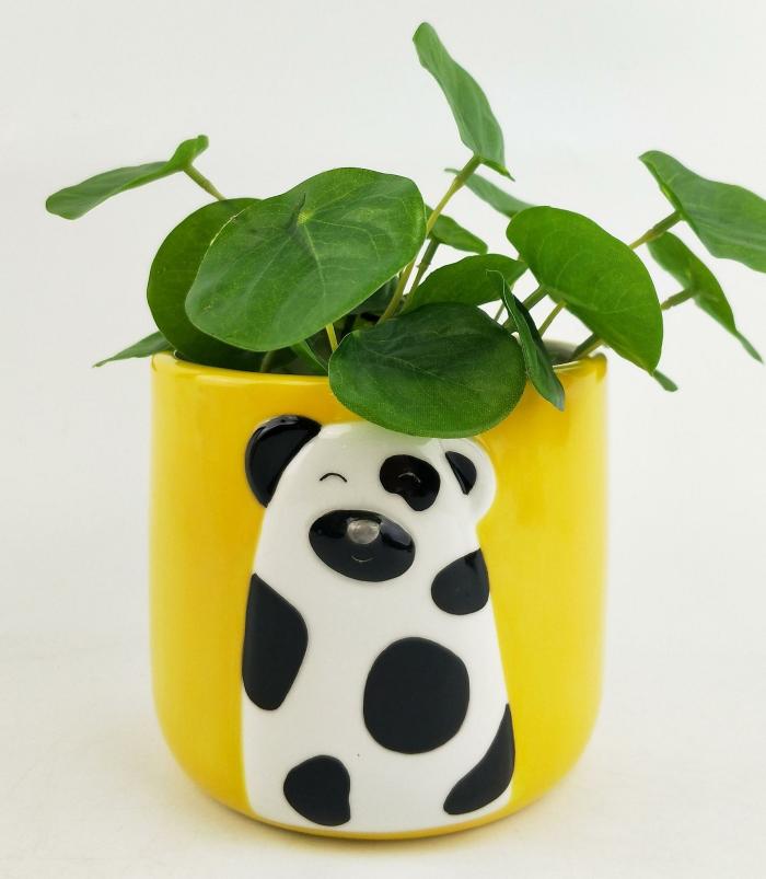 Cute Dog Planter – Yellow 13Cm  |  Planters & Vases Planters & Vases Planters & Vases