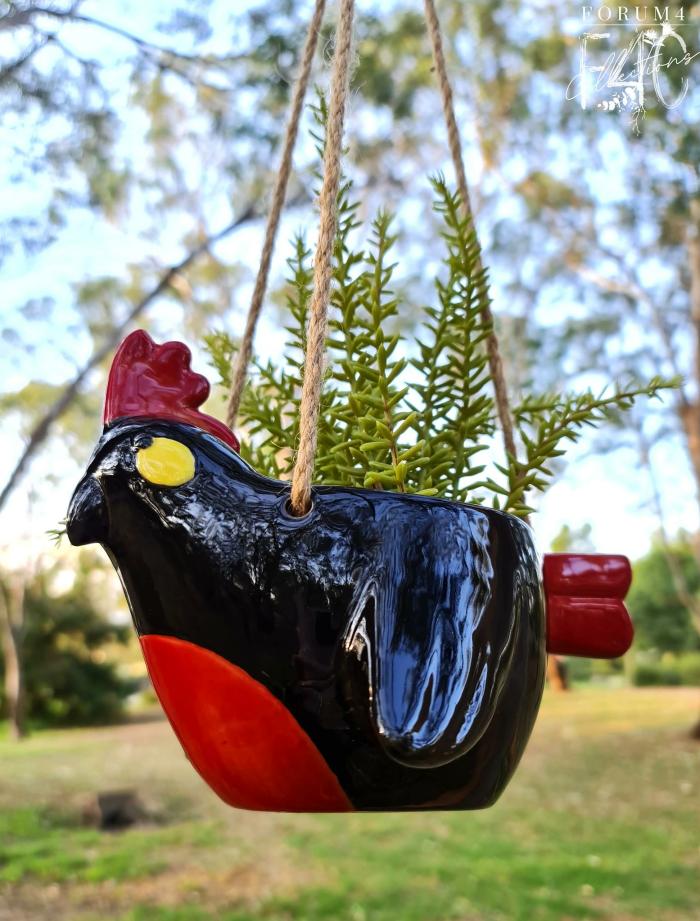 Flying Red Tail Black Cockatoo Planter  |  Hanging Garden Accessories Hanging Garden Accessories Hanging Garden Accessories