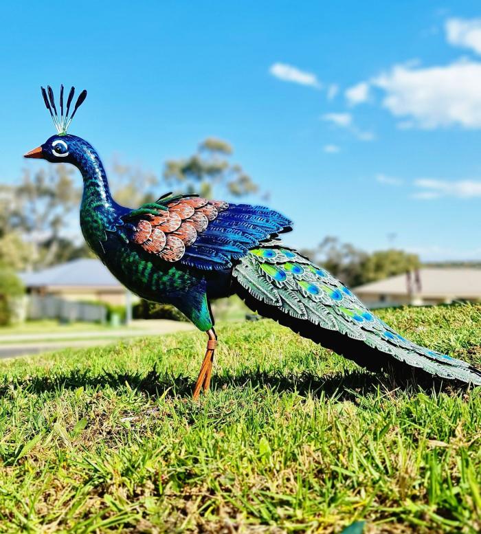 Glossy Metal Peacock  |  Metal Decor Garden Creatures Garden Creatures