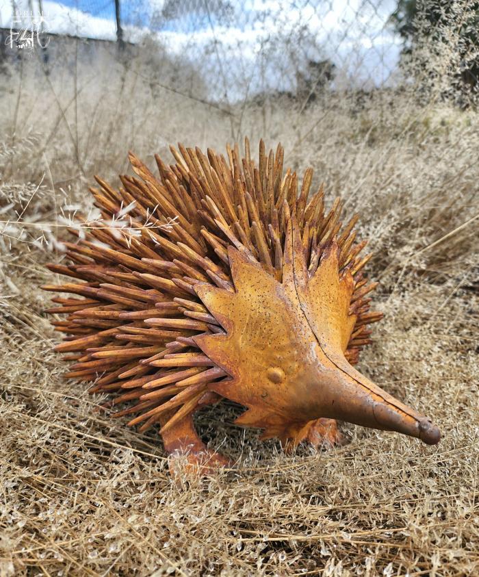 Large Rust Metal Echidna  |  Rusty Garden Items Garden Creatures Garden Creatures