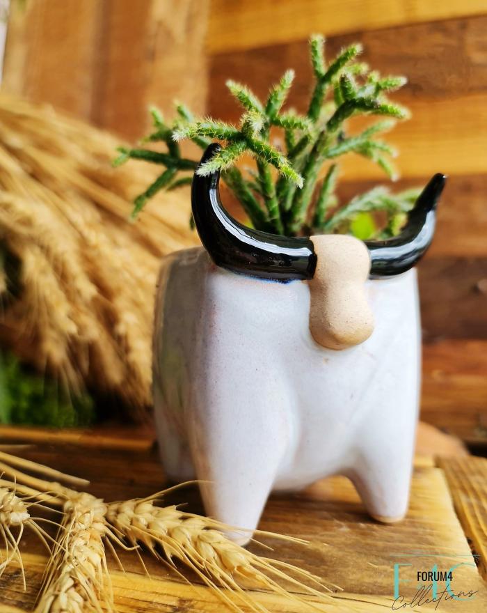 Little Bull Planter  |  Planters & Vases Planters & Vases Planters & Vases