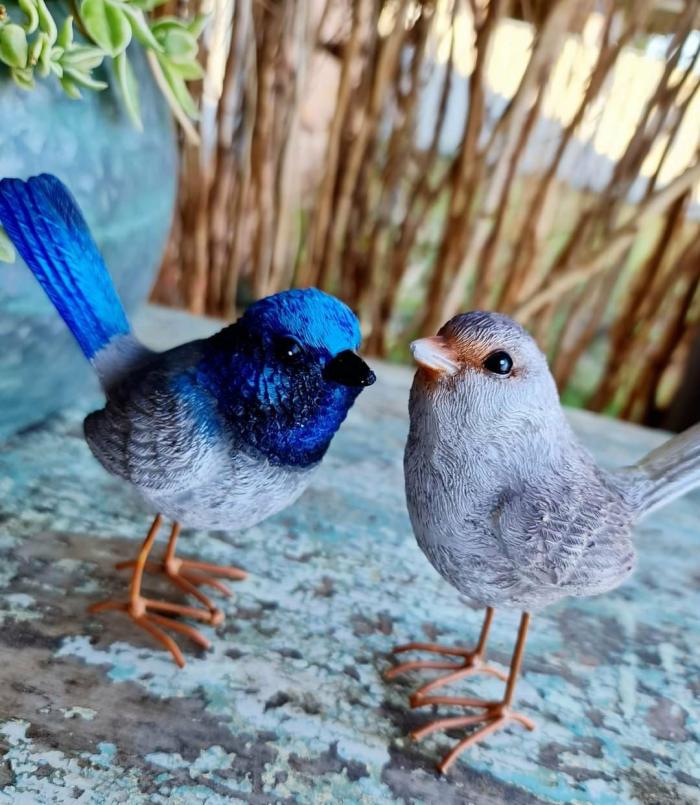 Little Resin Fairy Wren Couple – Male & Female  |  Garden Creatures Garden Creatures Garden Creatures