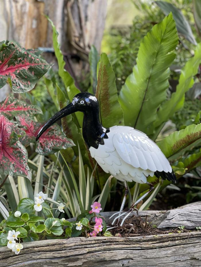 Metal Ibis Bird ( Aka Bin Chicken ) – Due To Arrive 15/4/24  |  Garden Creatures Garden Creatures Garden Creatures