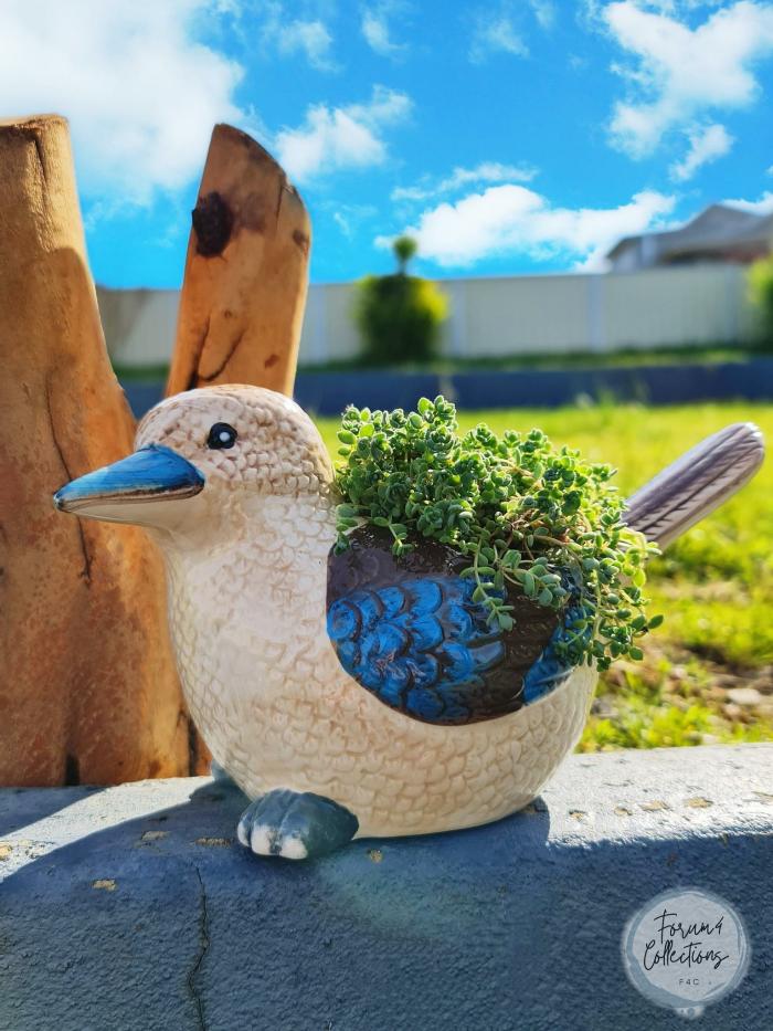 Native Kookaburra Bird Planter  |  Planters & Vases Planters & Vases Planters & Vases