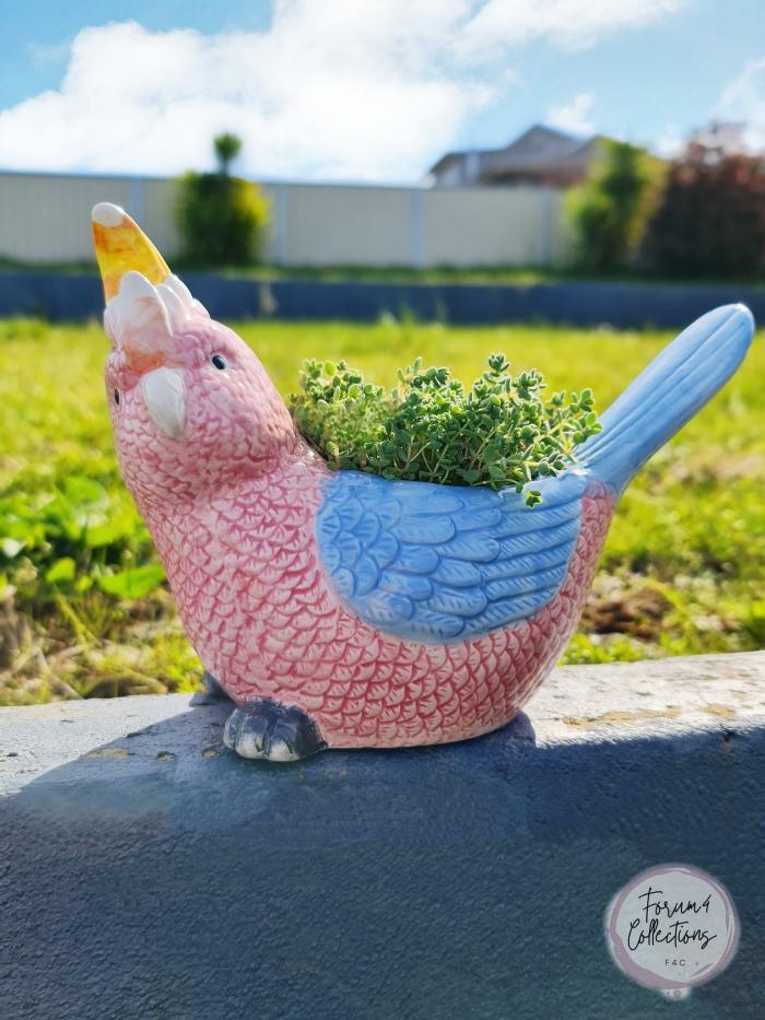 Native Major Mitchell Cockatoo Bird Planter  |  Planters & Vases Planters & Vases Planters & Vases