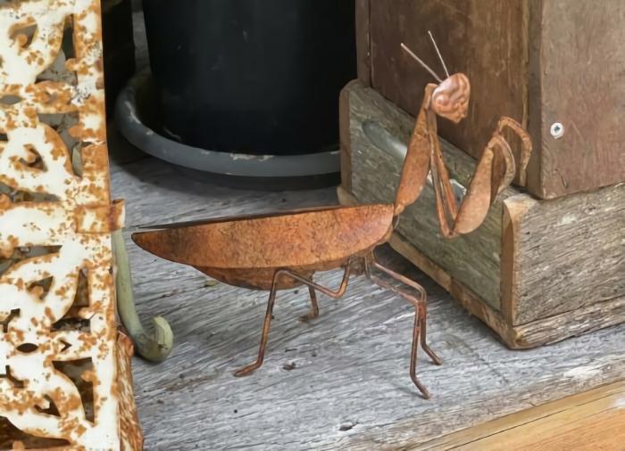 Praying Mantis – Rustic  |  Rusty Garden Items Garden Creatures Garden Creatures