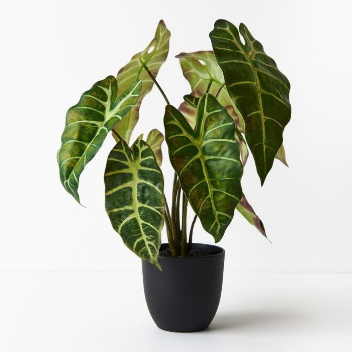 Real Touch – Alocasia Artificial Plant In Pot – Dark Green  |  Artificial Plants Artificial Plants Artificial Plants