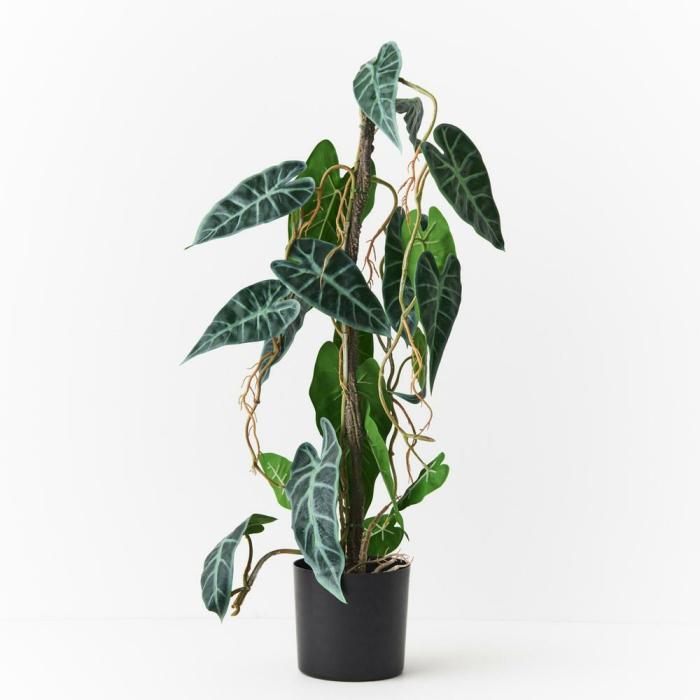 Real Touch – Alocasia Vine Artificial Plant In Pot  |  Artificial Plants Artificial Plants Artificial Plants