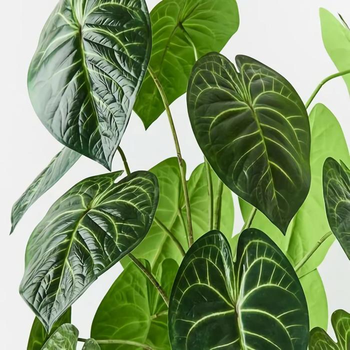 Real Touch – Anthurium Clarinervium Artificial Plant In Pot  |  Artificial Plants Artificial Plants Artificial Plants