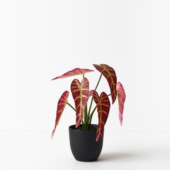 Real Touch – Artificial Alocasia Plant In Pot – Burgundy  |  Artificial Plants Artificial Plants Artificial Plants