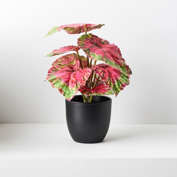 Real Touch – Artificial Begonia Plant In Pot – Red & Green  |  Artificial Plants Artificial Plants Artificial Plants