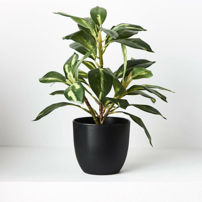 Real Touch – Artificial Dieffenbachia Plant In Pot  |  Artificial Plants Artificial Plants Artificial Plants