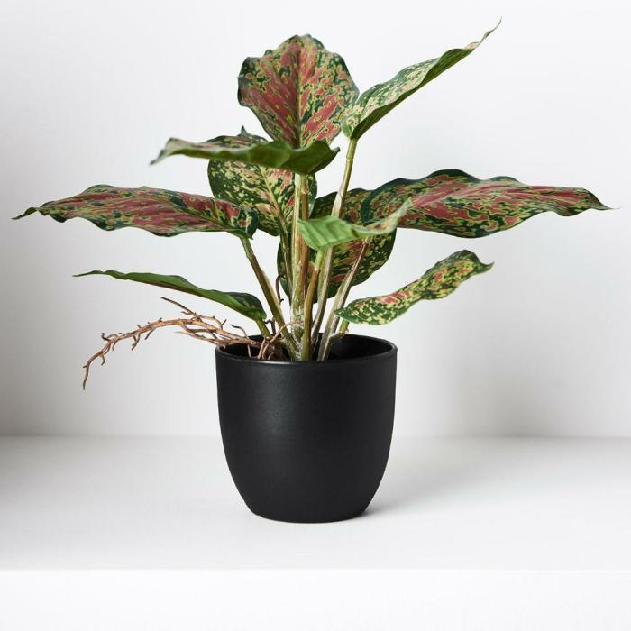 Real Touch – Artificial Dieffenbachia Plant In Pot – Green & Red  |  Artificial Plants Artificial Plants Artificial Plants