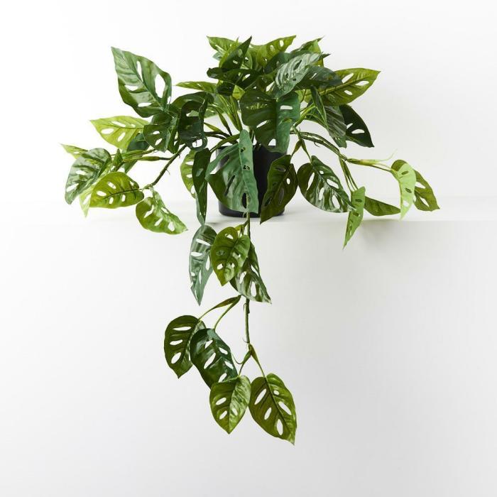 Real Touch – Artificial Monstera Adansonii Hanging Bush Plant In Pot  |  Artificial Plants Artificial Plants Artificial Plants