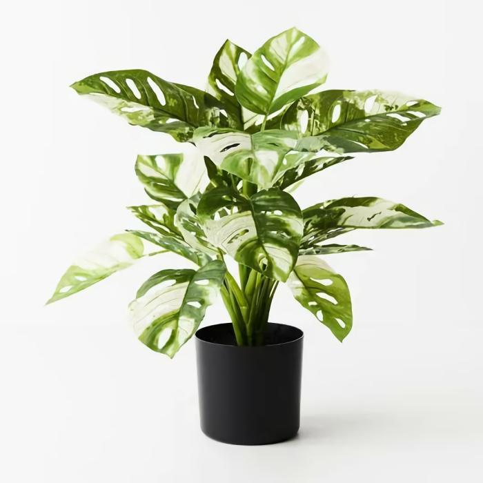 Real Touch – Artificial Monstera Adansonii Plant In Pot – Varigated  |  Artificial Plants Artificial Plants Artificial Plants