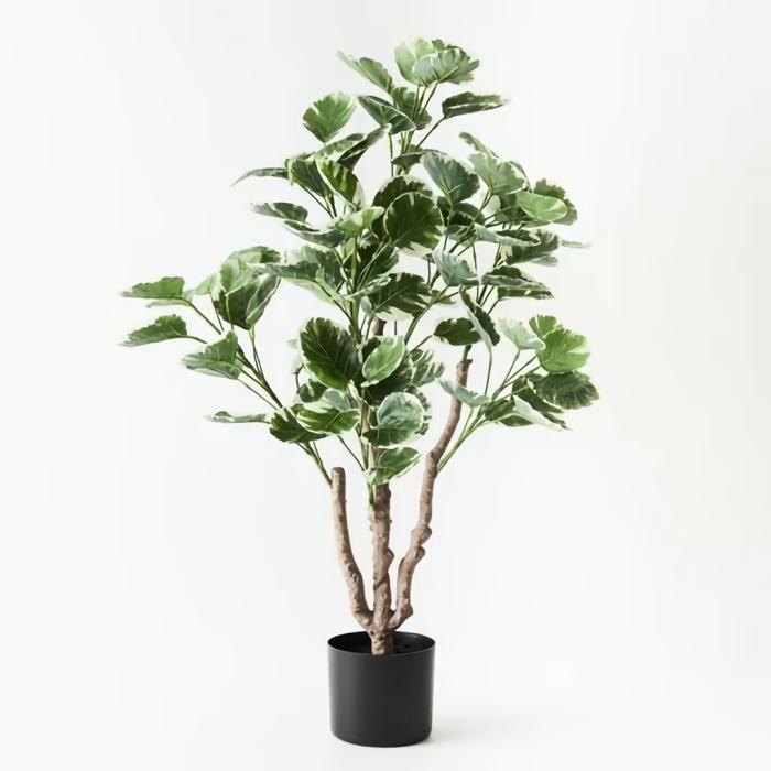 Real Touch – Artificial Pepermoides Plant In Pot – Varigated  |  Artificial Plants Artificial Plants Artificial Plants