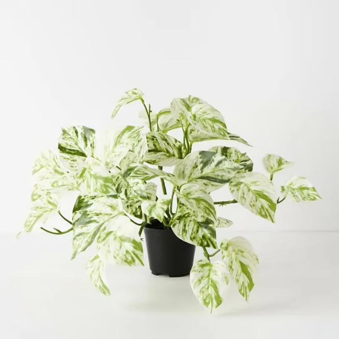 Real Touch – Artificial Pothos Marble Queen Bush Plant In Pot – White & Green  |  Artificial Plants Artificial Plants Artificial Plants