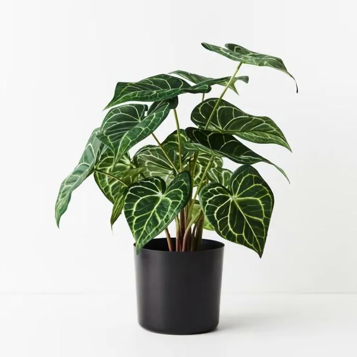 Real Touch – Artificial Syngonium Batik Plant In Pot  |  Artificial Plants Artificial Plants Artificial Plants