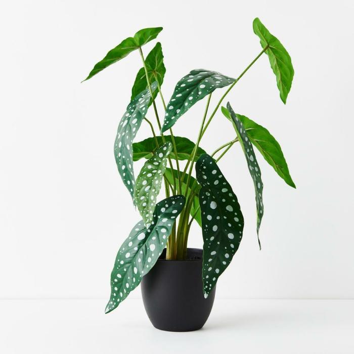 Real Touch – Begonia Maculata Artificial Plant In Pot  |  Artificial Plants Artificial Plants Artificial Plants