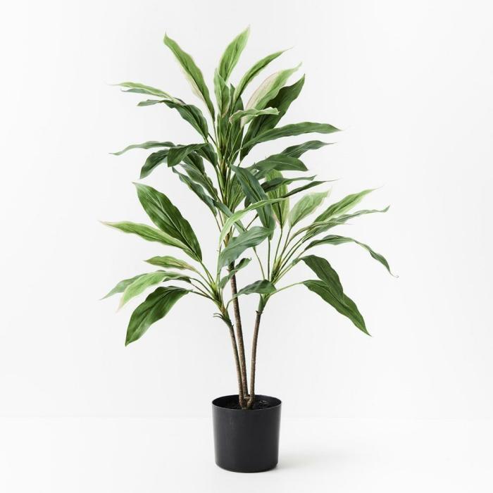 Real Touch – Cordyline Artificial Plant In Pot  |  Artificial Plants Artificial Plants Artificial Plants