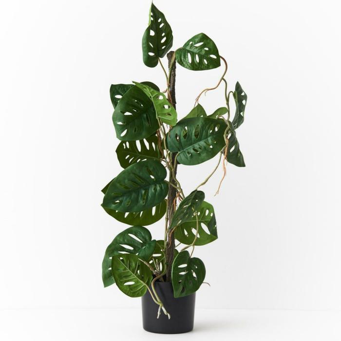 Real Touch – Monstera Adansonii Vine Artificial Plant In Pot  |  Artificial Plants Artificial Plants Artificial Plants