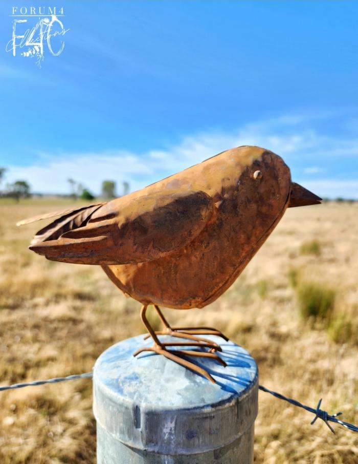 Rust Birdee Bird  |  Rusty Garden Items Garden Accessories Garden Accessories