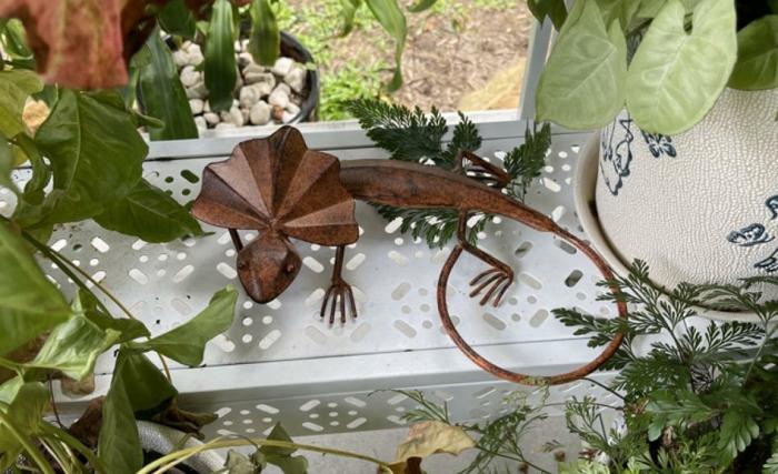 Rustic Frilled Neck Lizard  |  Garden Creatures Garden Creatures Garden Creatures