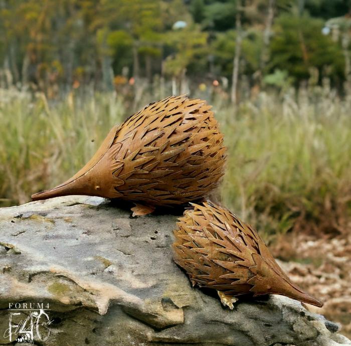 Rusty Metal Echidna Mum & Baby  |  Rusty Garden Items Garden Creatures Garden Creatures