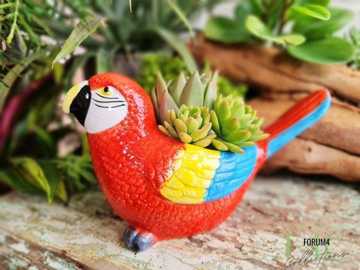 Scarlet Macaw Bird Planter  |  Planters & Vases Planters & Vases Planters & Vases