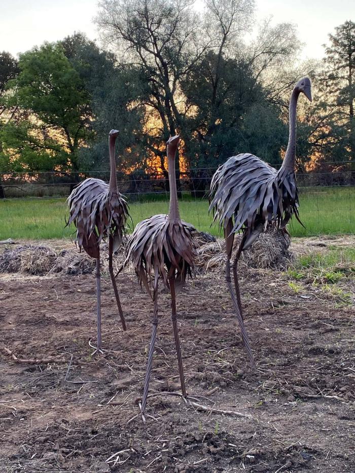 Set 3 Xxl , Xl & L Metal Garden Emu Family  |  Metal Decor Garden Creatures Garden Creatures