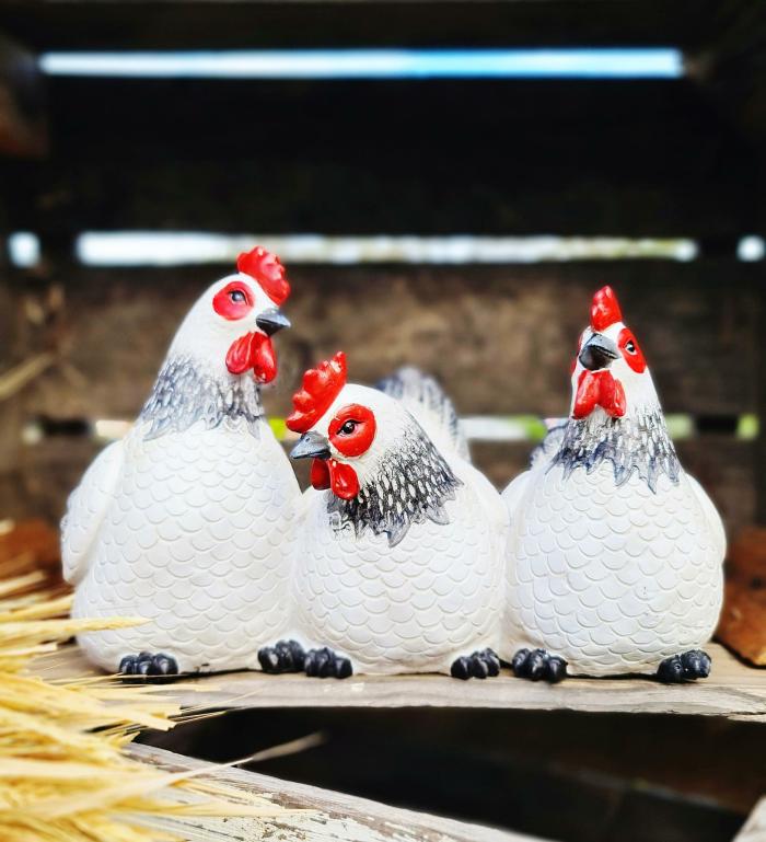 Sitting Sussex Hen Friends White  |  Chickens Chickens Chickens