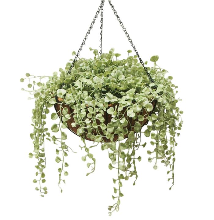 Triple Dichondra Hanging Bush Vine 50Cm In Hanging Basket  |  Artificial Plants Artificial Plants Artificial Plants