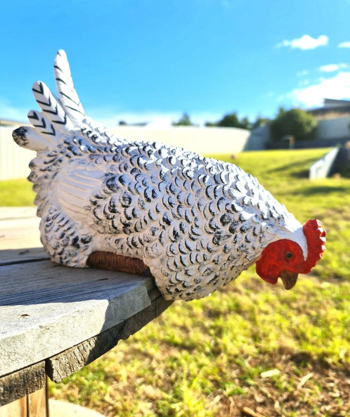 Willow The White Sitting Hen  |  Chickens Chickens Chickens