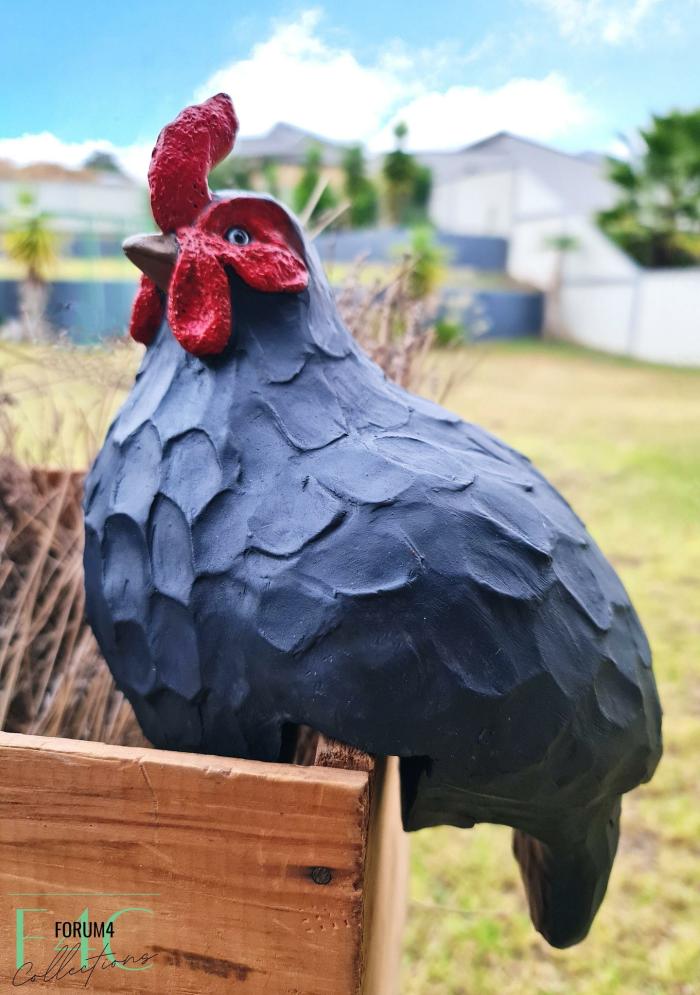 Beatrix The Black Fence Hen  |  Chickens Chickens Chickens