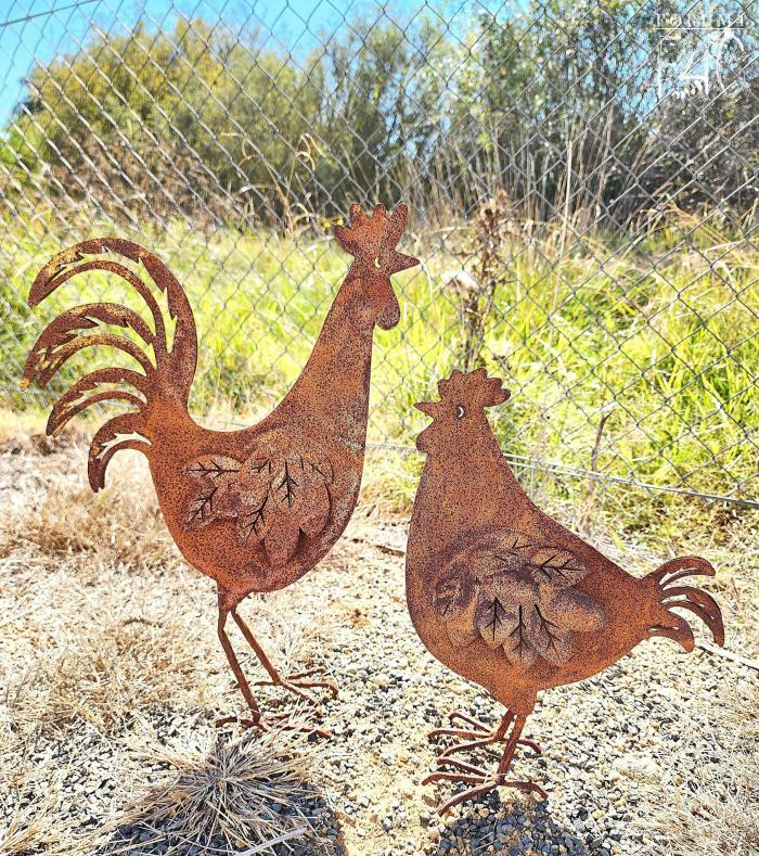 Rusty Chooks Rooster & Hen Pair  |  Rusty Garden Items Chickens Chickens