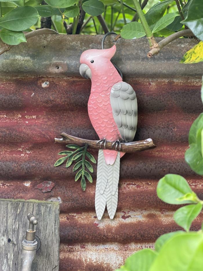 Single Perched Pink Galah Wall Decor  |  Outdoor Wall Art Outdoor Gardenwares Outdoor Wall Art